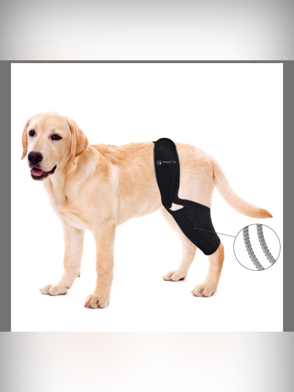 Adjustable Dog Hip Support Brace Rear Leg Stability BaoGuai Knee Brace For 92QYV